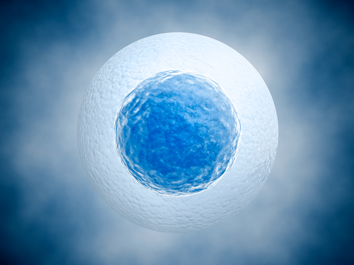 pelobiotech-3d-cell-culture-ips-bold.jpg