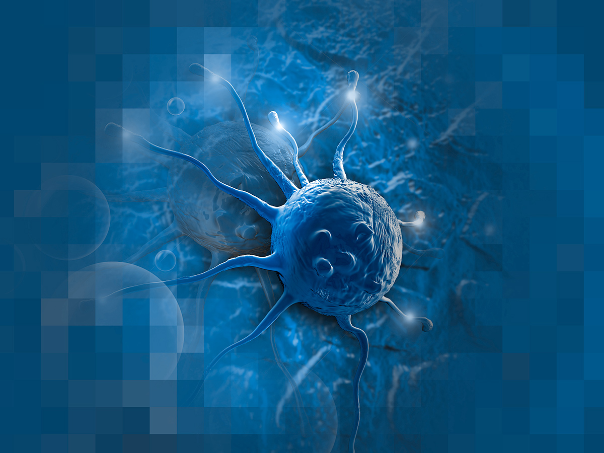 pelobiotech-3d-cell-cultures-double-3d-image.jpg